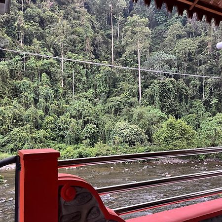 Ridho'S Homestay & Jungle Trekking 武吉拉旺 外观 照片