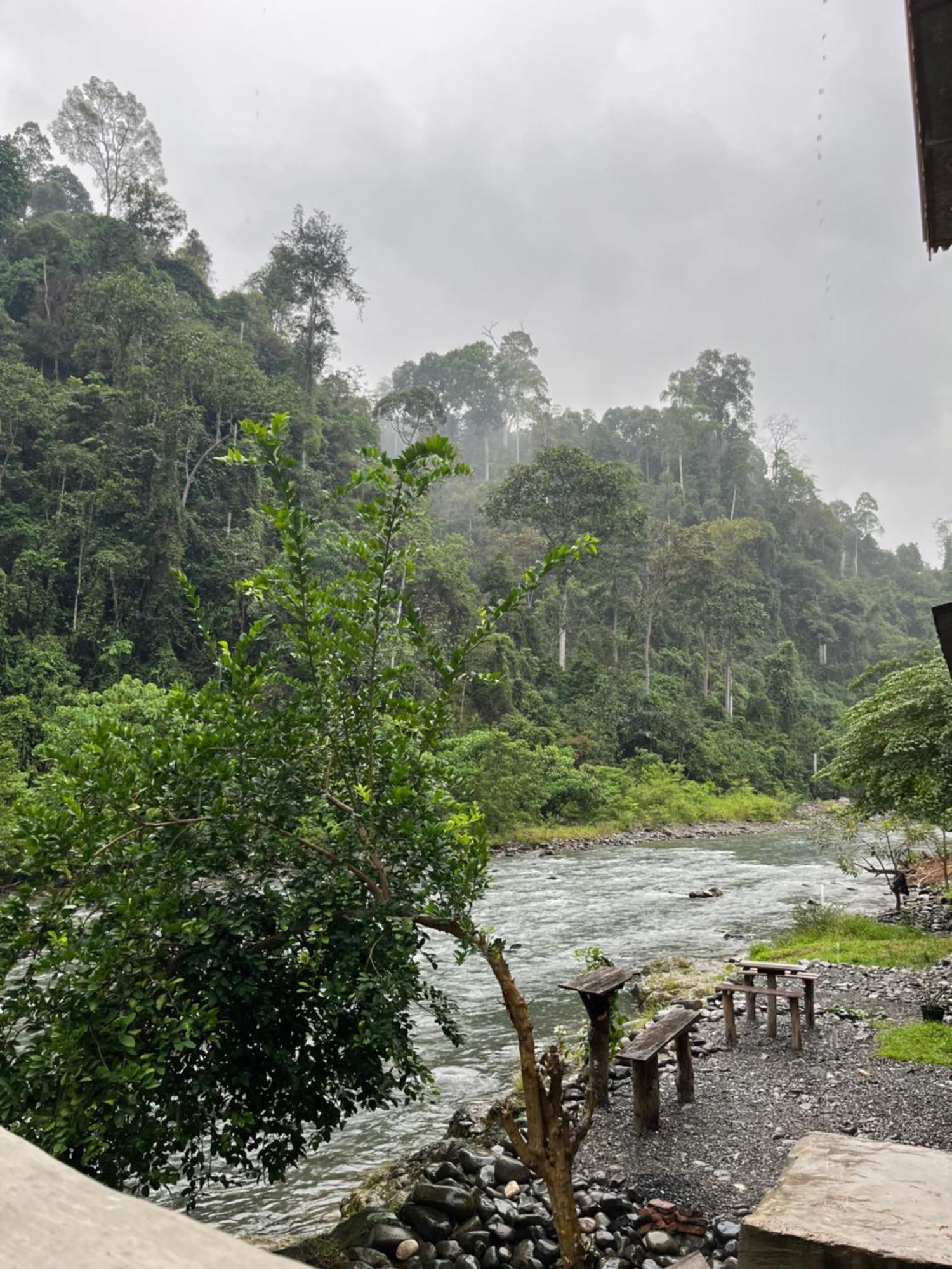 Ridho'S Homestay & Jungle Trekking 武吉拉旺 外观 照片
