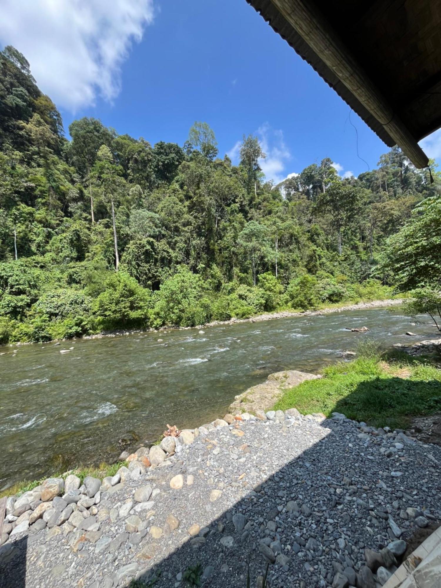 Ridho'S Homestay & Jungle Trekking 武吉拉旺 外观 照片