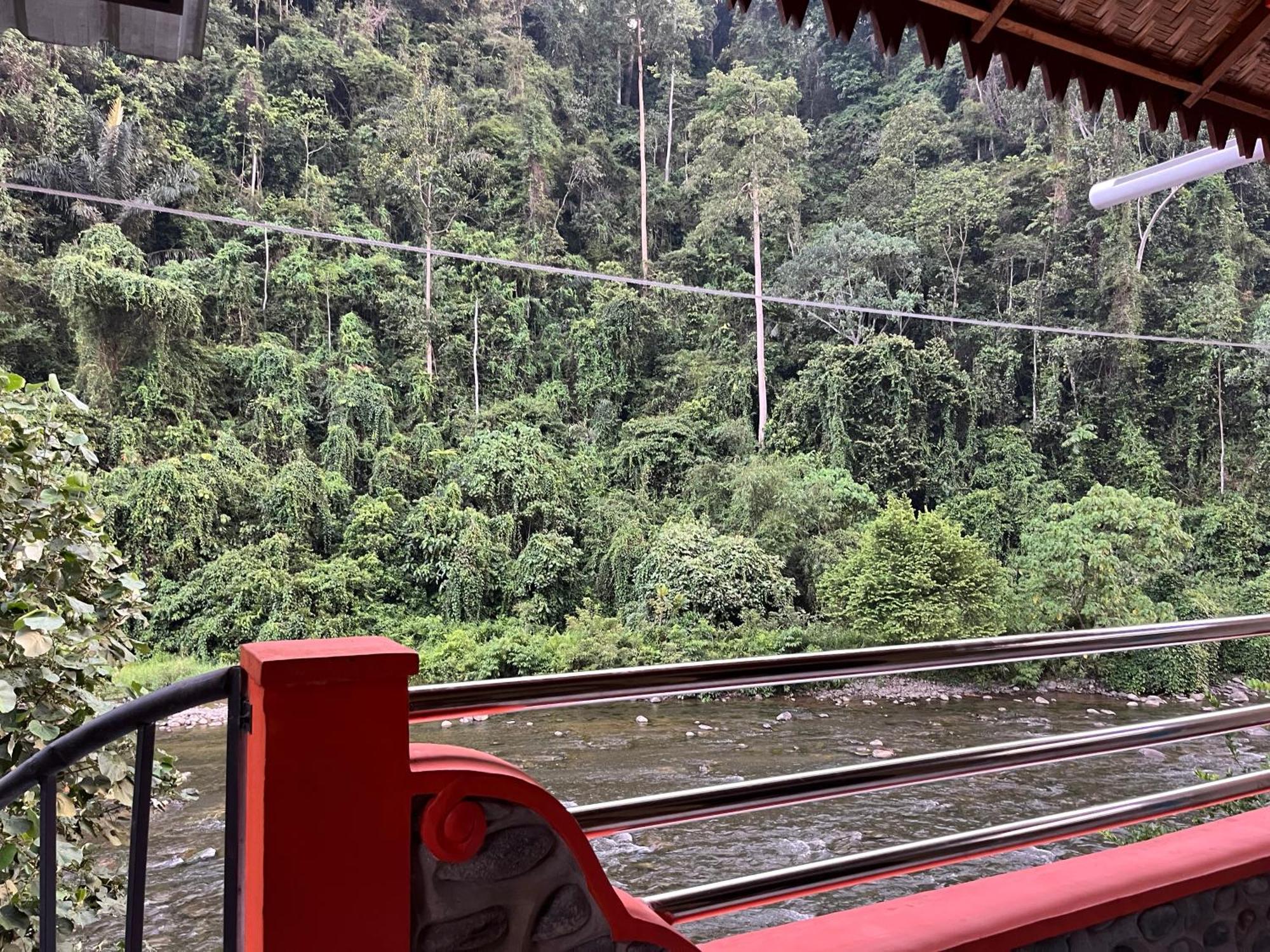 Ridho'S Homestay & Jungle Trekking 武吉拉旺 外观 照片